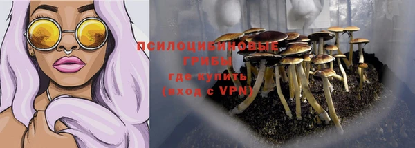 дурь Алзамай