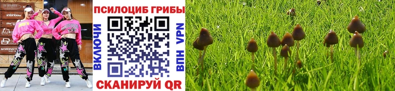 MEGA ссылки  Чишмы  Псилоцибиновые грибы Magic Shrooms 